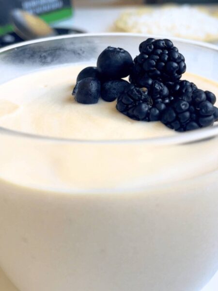 Protein Pudding Recipe