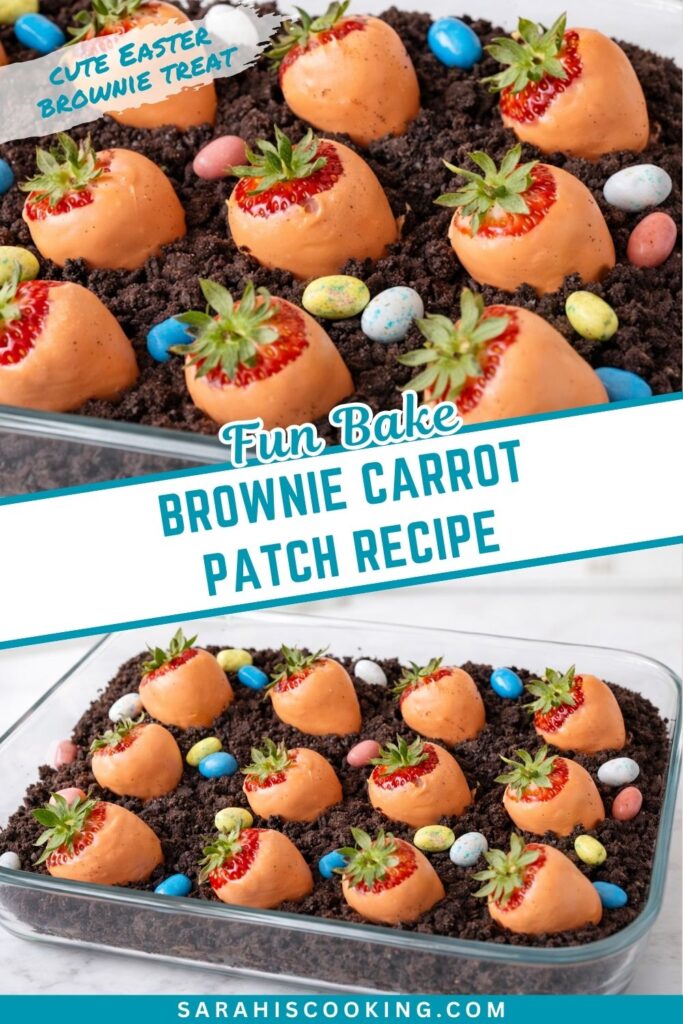 Delicious Brownie Carrot Patch Recipe